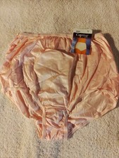 Vtg NWT Sears 100 Captiva Nylon Panties Size 7 39-40 Hip USA Silky Soft Panty