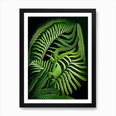 Südlicher Schildfarn lebendige Kunst Pr gerahmtes Wandbild Poster Leinwanddruck Bild