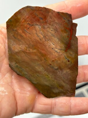 Red Butte Dendritic Jasper slab Cabbing Lapidary Combo ship avail