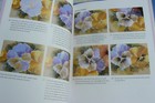 Foto 10 di 17
