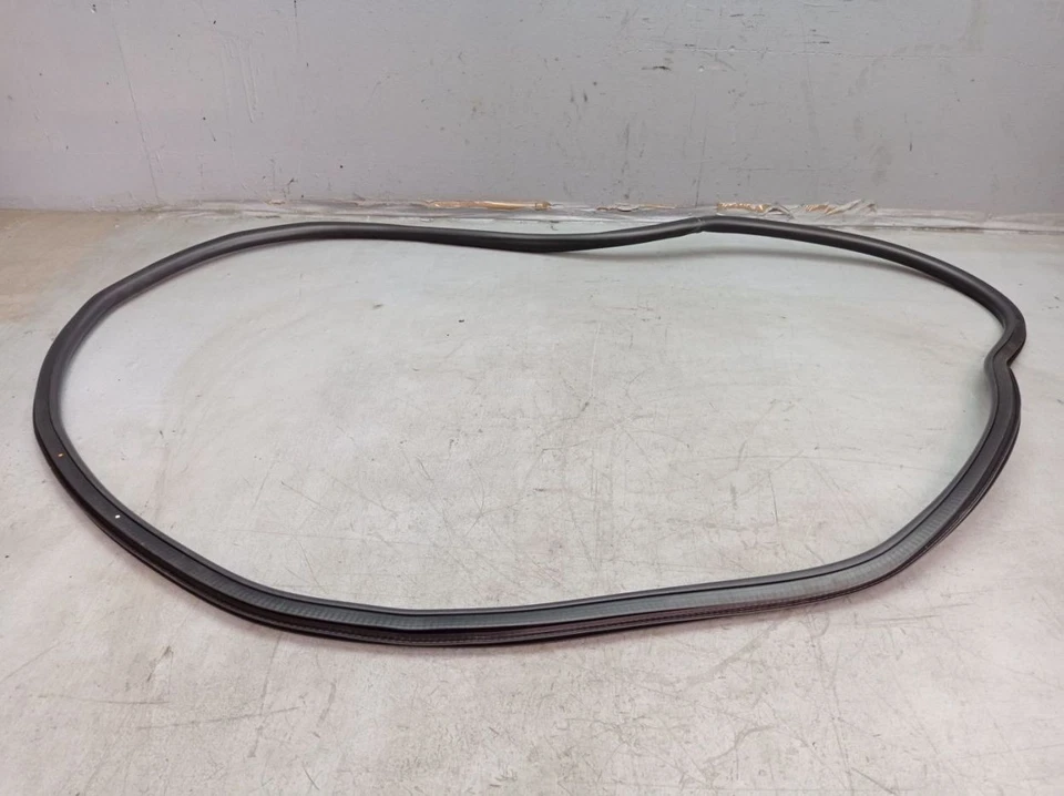 Junta marco puerta entrada delantero izquierdo chevrolet Aveo 2012-2016 95190186 Foto 3 de 4