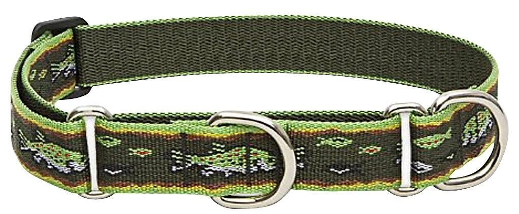 LupinePet Originals 1" Brook Trout 15-22" Martingale Collar
Opens in a new window or tab