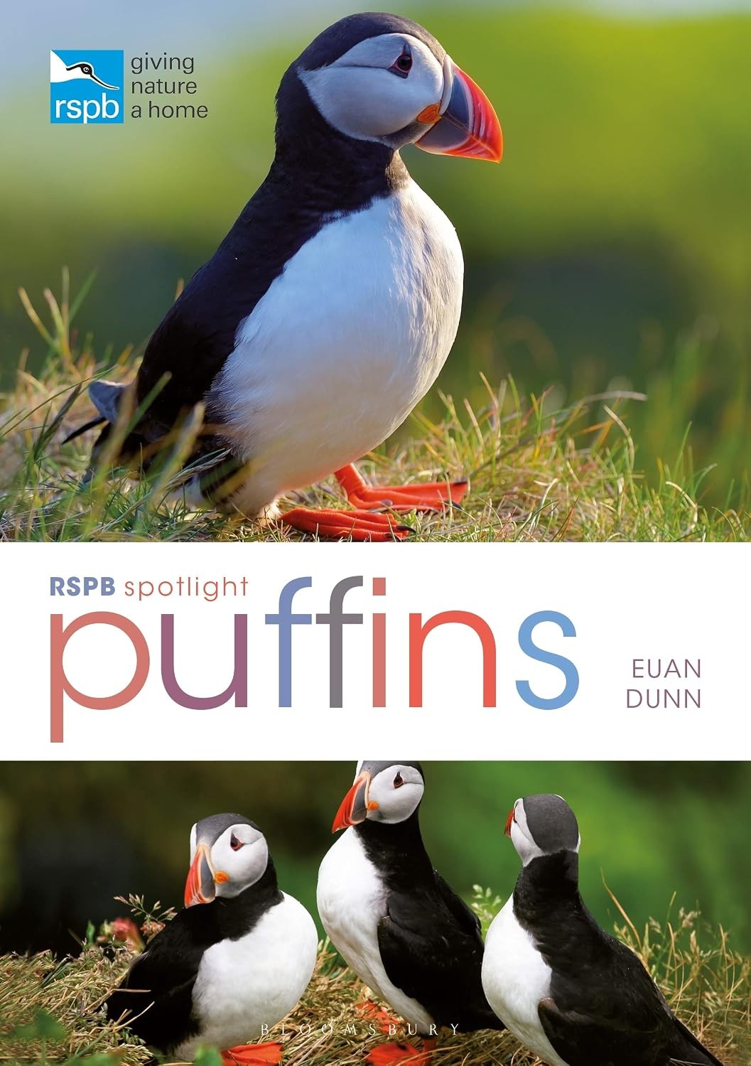 RSPB Spotlight: Puffins.by Dunn  New 9781472965202 Fast Free Shipping** - Image 8