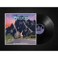 Freeroad - Do What You Feel! - Vinyl Record - G3Z