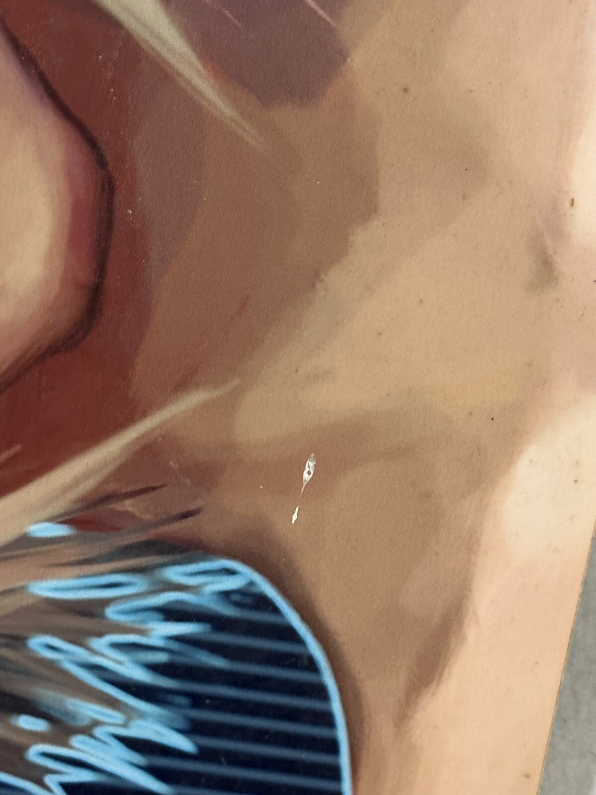 Bild 3 von 5