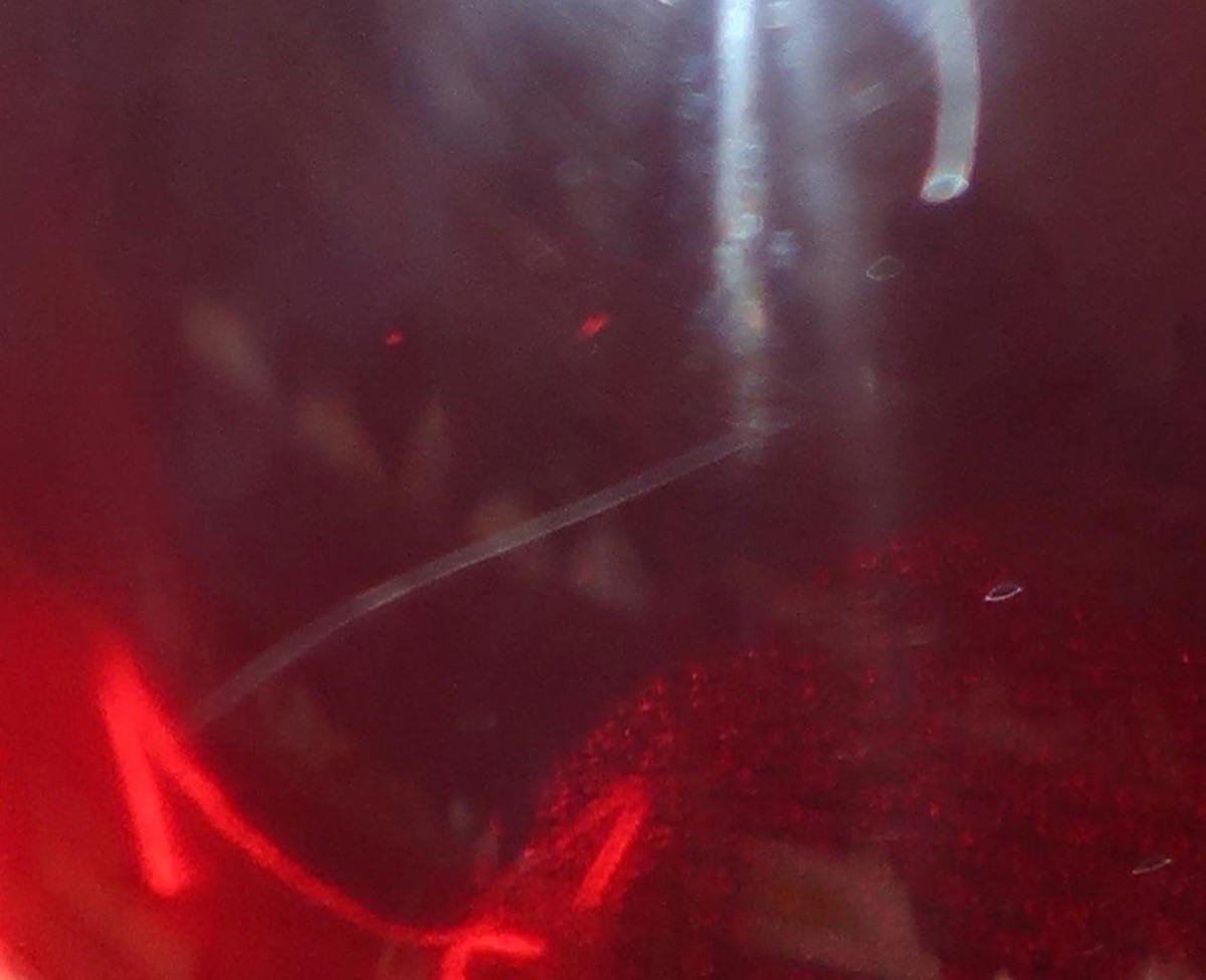 Shlomi Haziza PAULE Red Acrylic Heart Shaped & Stainless Base