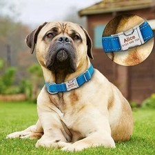 Personalized dog collar engraved custom ID Tag Name Number reflective Nylon
