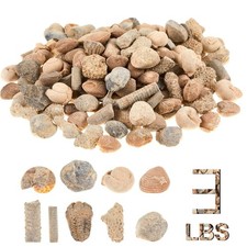 Soulchen Fossil Sorting Kit 3 Lbs Fossil Collection Sorting Activity Kit with...