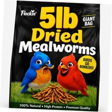 Dried Mealworms for Wild Birds - Crunchy Meal Worms for Wild Birds - High