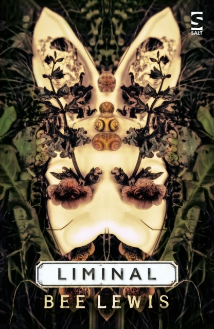 Liminal by Bee Lewis (Paperback Book)