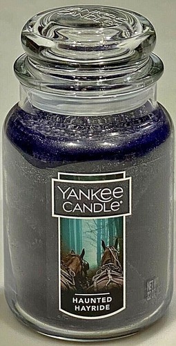 RARE Yankee Candle AUTUMN WINTER HOLIDAY & MY FAVORITE THINGS 22oz JARS RETIRED - Picture 254 of 278