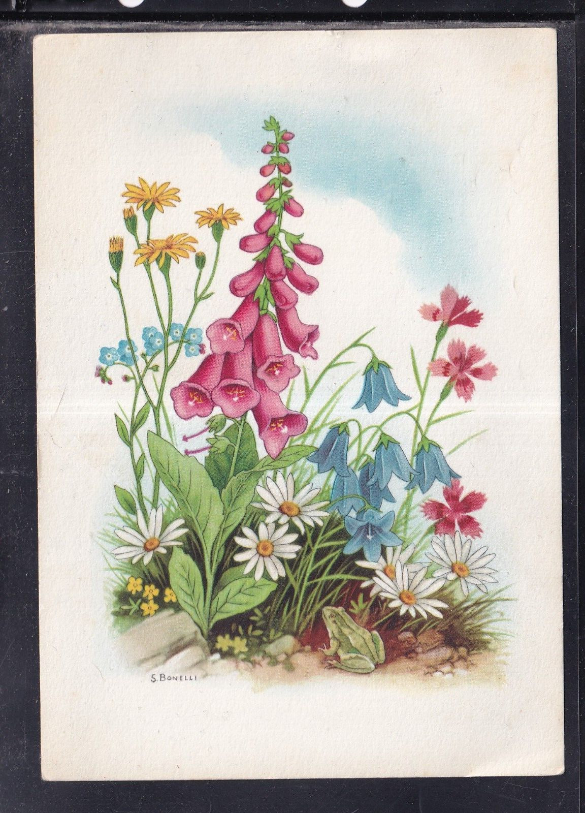 Cartolina Fiori Rana illustratore Bonelli KC136