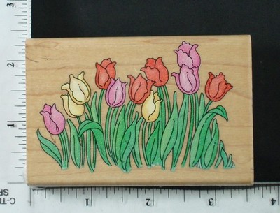 Stampendous rubber stamp,  VARIOUS 4
