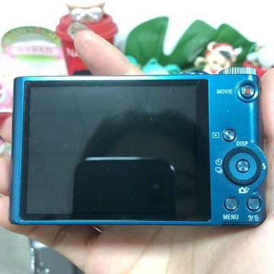 SONY Cyber-Shot DSC-WX300 Digital Camera 18.2MP 20x Optical Zoom
