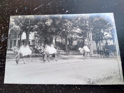 Camels Walking Down Street Outside Home RPPC Real Photo Postcard