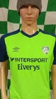 Ireland Official Umbro Football Soccer Jersey Shirt (Adult Medium)
