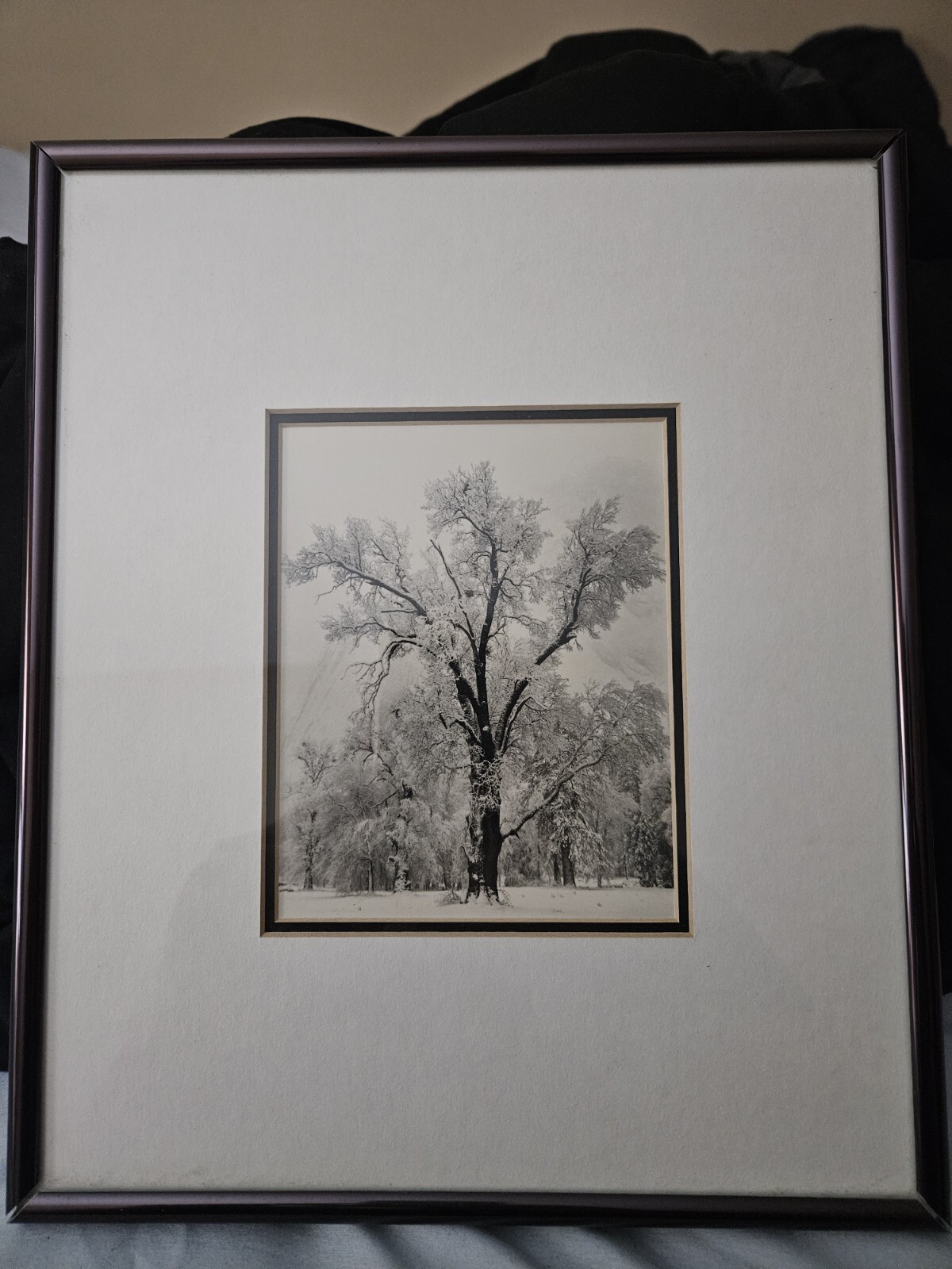 Picture 1 of 4