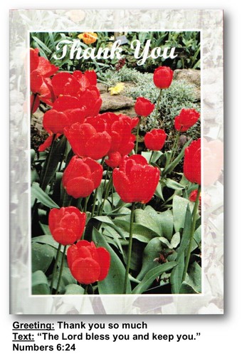 Variety Pack of 6 Different Occasion Cards With Bible Text - EBMX1 - Picture 4 of 7