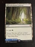 MTG - NM -Barkchannel Pathway / Tidechannel Pathway - Kaldheim