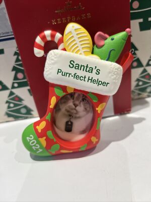Katze Weihnachtsmänner schnurren Filz Helfer Weihnachten Punze Andenken Ornament Neu im Karton...