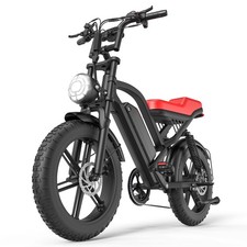 Electric Bike 20" Fat Tire 48V 15AH Removable Battary All Terroin E-Bike 750W