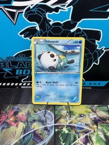 Oshawott 37/113 Legendary Treasures Regular