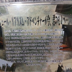 MYST Saturn software 2f