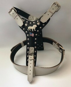 american bully harness