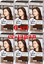 Kao LIESE Soft Creamy Bubble Foam Hair Color Dying Kit 21 Natural Brown 6 set