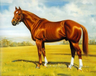 Horse Steed Race Animals Oil painting Wall art Giclee Printed on Canvas P531