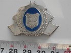 ROMANIA Police hat shield,  thin metal — photo 1