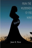 Janet Perez | From The Wilderness To The Womb | Taschenbuch | Englisch (2019)