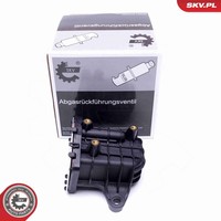 Esen SKV KüHler AbgasrüCkfüHrung 14SKV231 FüR Ford Mondeo 5 Turnier CF CE Kuga 2