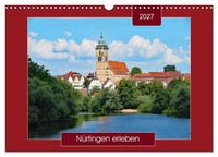 "Calendar 2027 · US Version · Experience NüRtingen (Wall Calendar 2027 17\" × 12\""