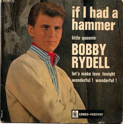 If I Had A Hammer Bobby Rydell Guter Zustand!