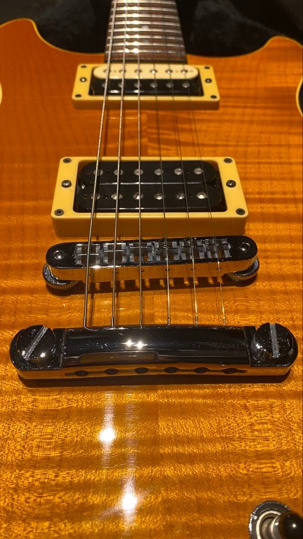 HAMER GSPS-FM Special FM Electric Guitar 1994 with Hard Case | eBay