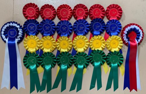 ROSETTES in stock - 1 tier - 6 x 1st to 4th PLUS BIS & RBIS - READY TO GO! - Picture 1 of 3