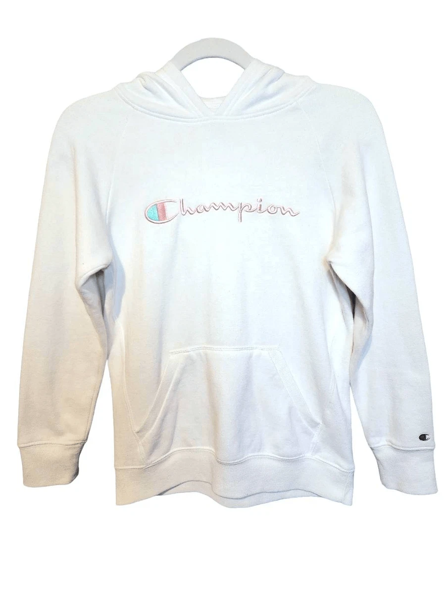Pastel champion store sweater