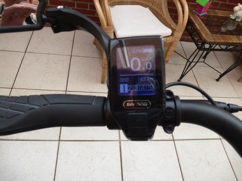 E-Bike Fischer Cita 4.1i Rücktrittbremse nur 477 km neuwertig