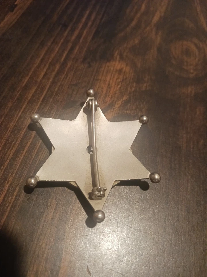 Vintage Lake County Pin...obsolete Badge - Image 2 of 2