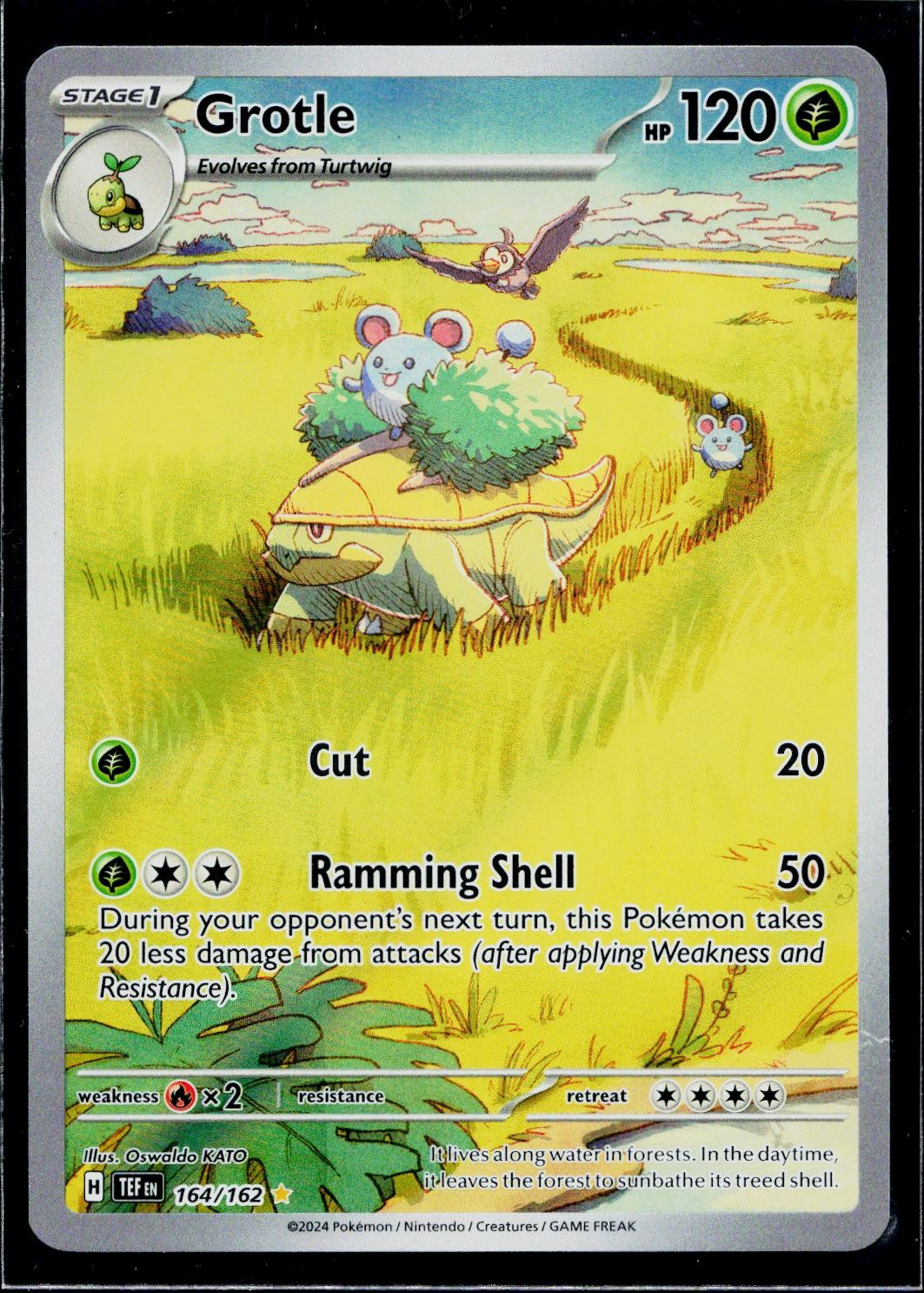Grotle 164/162 Illustration Rare Temporal Forces Pokemon Holo Near Mint