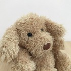 Bild 7 von 10