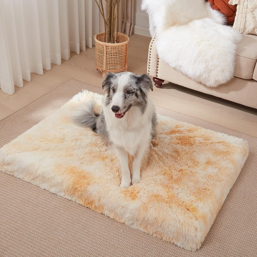 Soft Plush Dog Bed with Removable Washable Cover, Egg Crate Foam Mat