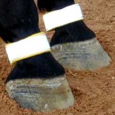 Reflective Horse Leg Bands Yellow Fleece Riding Safety - Set of Two