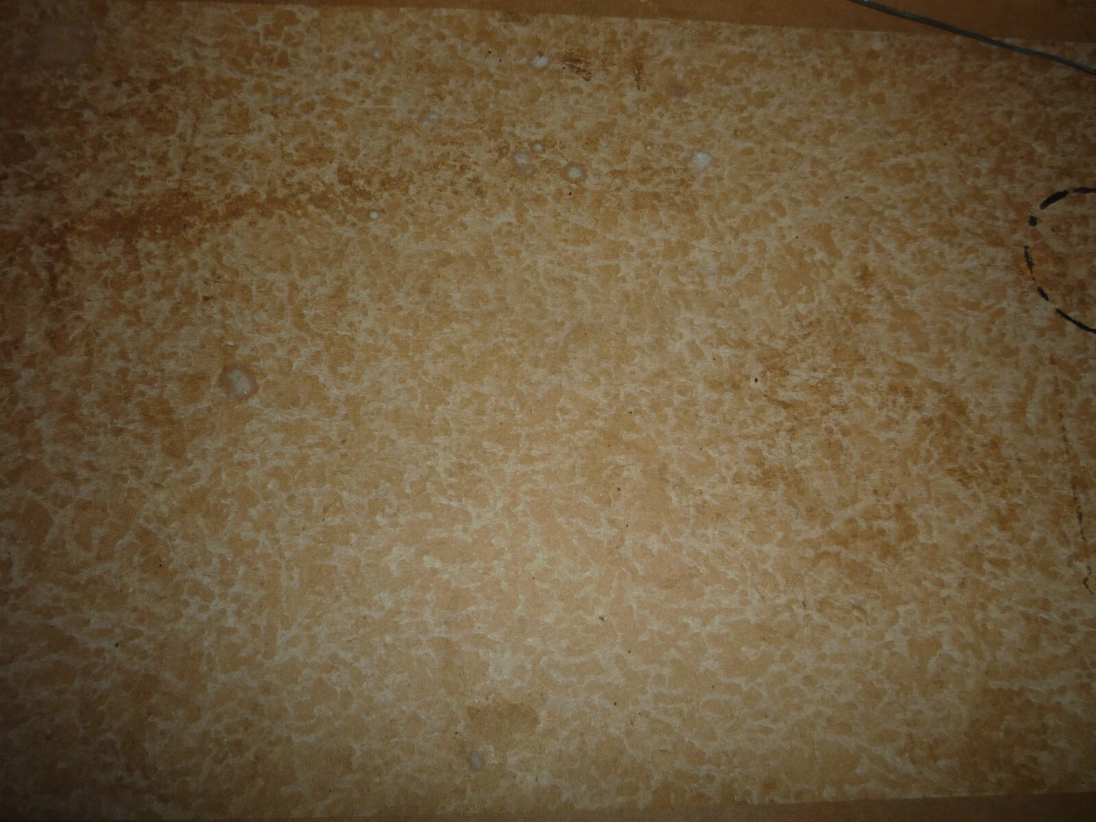 Picture 10 of 10
