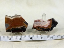 Rare Montana Dryhead Agate Slab Set, Lot#559