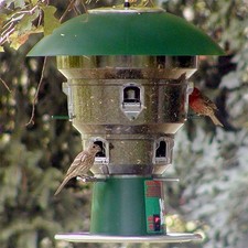 Wild Bills Electronic Squirrel Proof Bird Feeder 8 Feeding Ports