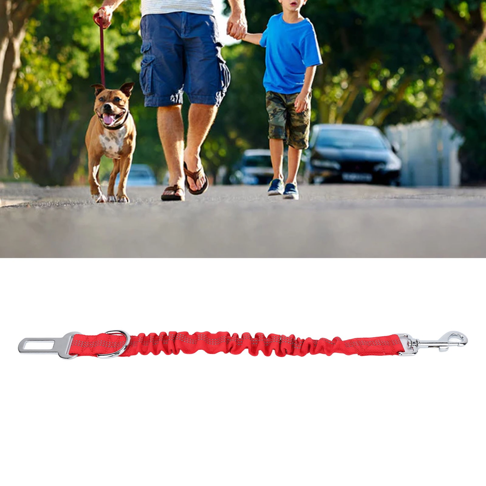 Dog Leash 3 In 1 Explosion Proof Retractable Bungee Dog Training Leash For