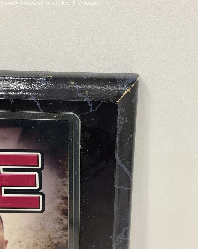 Placa de pared del Jugador Más Valioso de la NBA Chicago Bulls Derrick Rose 2010-2011 Foto 4 de 4