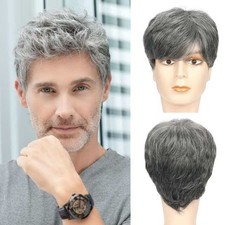 6in Men's Short Silver Gray Wig Full Cosplay Synthetic Heat Resistant Party